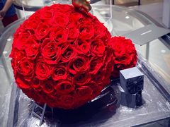 -ROSEONLY诺誓(青岛万象城店)