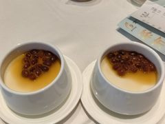 -金河半岛园林酒家(金融城店)
