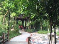 -龙头寺公园