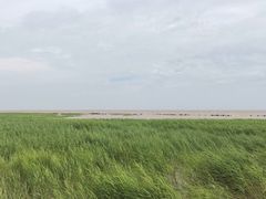 -南汇嘴观海公园