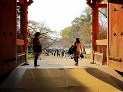 -醍醐寺