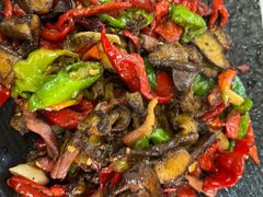 -蘑统田下·野生菌火锅