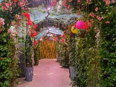 -正佳雨林生态植物园