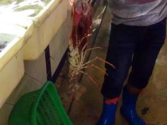 -班赞海鲜市场
