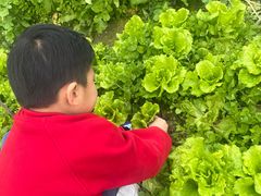 -新塘水果乐园(东洲大道店)
