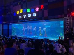 -泉城欧乐堡海洋极地世界