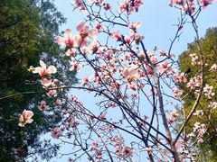 -东华门大街小区