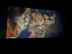 -保利国际影城(北京缤纷城店)