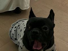 -成都安仁福朋喜来登酒店