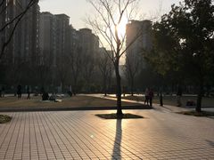 -新江湾城公园