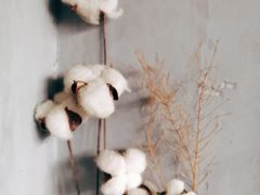 -新沙洞咖啡(泉乐坊店)