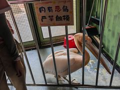 -海合安武汉极地海洋公园