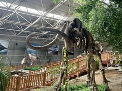 -中国第四纪冰川遗迹陈列馆
