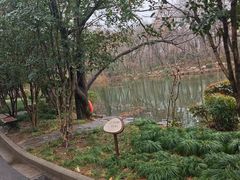 -灵谷景区