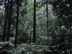 -狼山风景名胜区