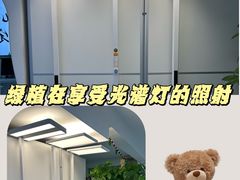 -多元奇梦视野乐园