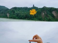 -都江堰景区