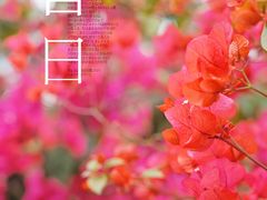 -海珠湖公园