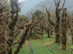 -雁荡山风景名胜区