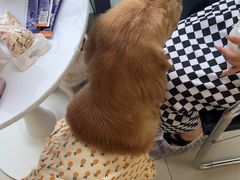 -怪兽屋·羊驼·猫咖·狗咖(俊华广场店)