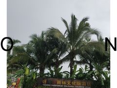 -呀诺达热带雨林