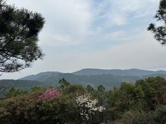 -缥缈峰景区