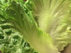 -核桃碳烤肉馆(深圳首店)
