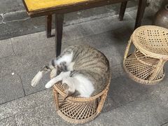-悟饮门市景店