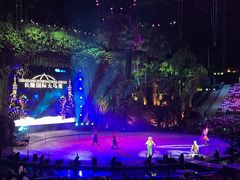 -广州长隆国际大马戏
