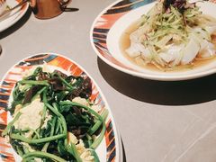 -塔哈尔·新疆盛宴(奉贤龙湖店)