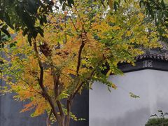 -东山雕花楼