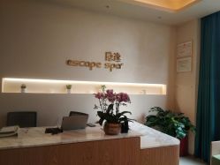 -隐逸SPA
