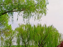 -廊坊文化艺术中心