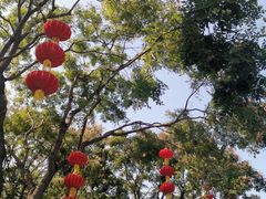 -陶然亭公园南门停车场