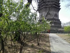 -玲珑塔公园
