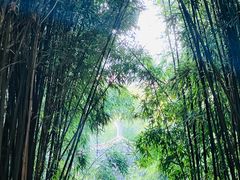 -采石矶景区