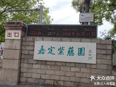-嘉定紫藤园
