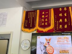 -顺强宠物诊所·狂犬免疫·夜诊·骨科(嘉定店)