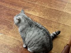 -H立方实景剧情密室(天河旗舰店)