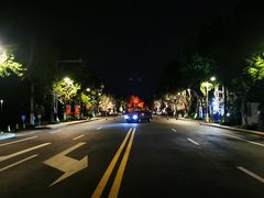 -昆山城市生态森林公园