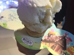 -野人先生现做冰淇淋(北京环宇荟店)