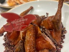 -朱记乳鸽王·非遗石岐乳鸽·全鸽宴(大兴旗舰店)