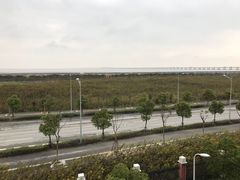 -洋山深水港