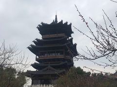 -杭州半山国家森林公园