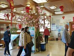 -映月潭温泉