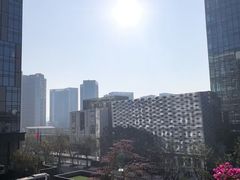 -深圳国际会展中心希尔顿酒店(前海华发冰雪世界店)
