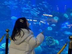 -成都浩海立方海洋公园