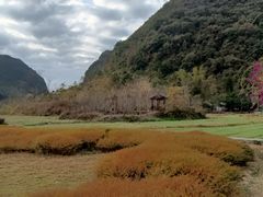 -靖西鹅泉风景区