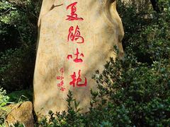 -梧桐山风景名胜区