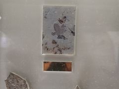 -上海昆虫博物馆